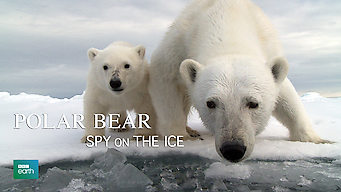 Polar Bear: Spy on the Ice