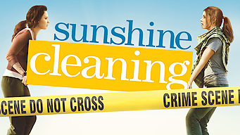 Sunshine Cleaning