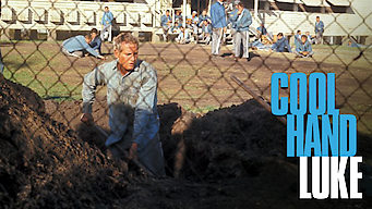 Cool Hand Luke