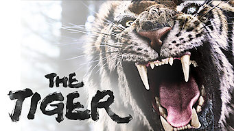 The Tiger