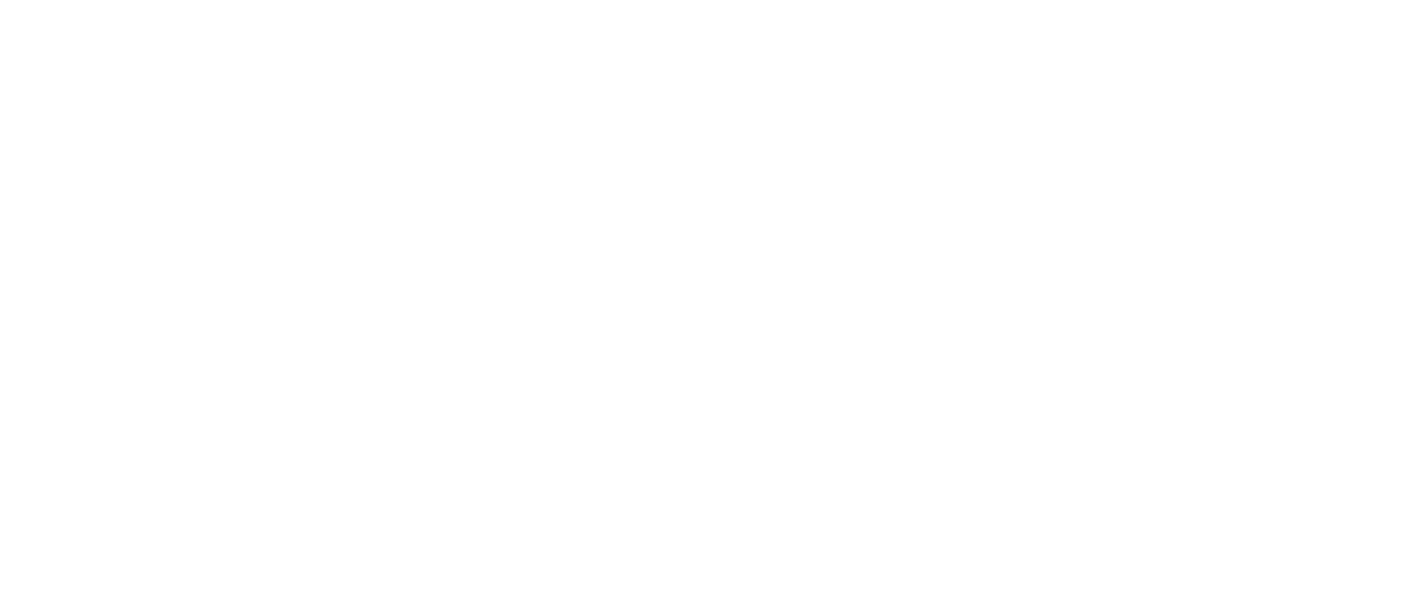 洪拳大师 Netflix 洪拳大师 Netflix